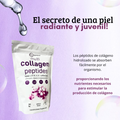 MULTI COLAGENO.CM
